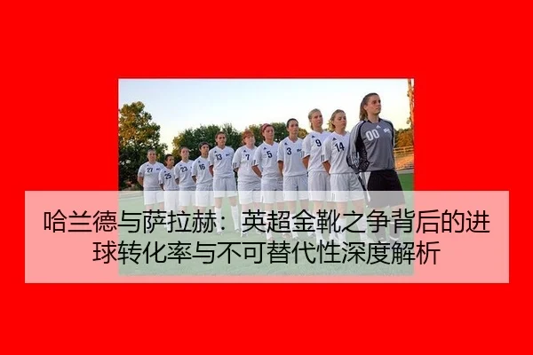 ha-lan-de-yu-sa-la-he-ying-chao-jin-xue-zhi-zheng-bei-hou-de-jin-qiu-zhuan-hua-lv-yu-bu-ke-ti-dai-xing-shen-du-jie-xi-2-359.jpg