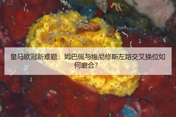 huang-ma-ou-guan-xin-nan-ti-mu-ba-pei-yu-wei-ni-xiu-si-zuo-lu-jiao-cha-huan-wei-ru-he-mo-he-2-442.jpg