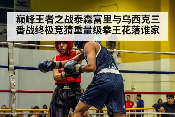 巅峰王者之战泰森富里与乌西克三番战终极竞猜重量级拳王花落谁家
