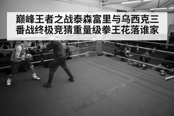 boxer training gym