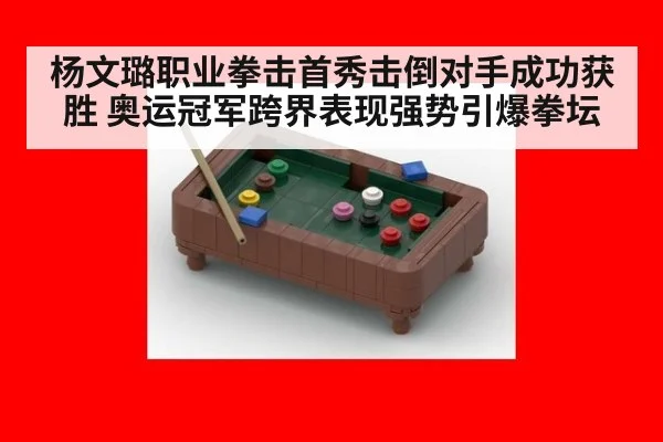 杨文璐职业拳击首秀击倒对手成功获胜 奥运冠军跨界表现强势引爆拳坛